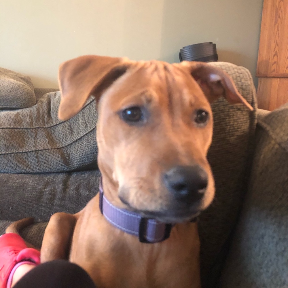 Meet your Posher, Danielle